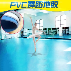 舞蹈地胶PVC教室幼儿园塑橡胶运动地板革室内健身房地垫