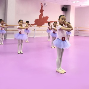 欧百娜舞蹈室地胶室内幼儿园pvc塑胶地板早教中心舞蹈教室专用地胶