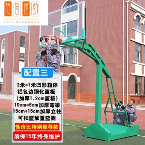 户外学校篮球架家用标准成年篮球架移动升降篮球架室外蓝球架