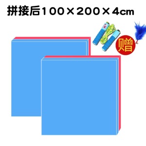 室内跳绳垫子减震隔音家用加厚运动跳操跳舞蹈专用静音消音地毯垫