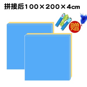 室内跳绳垫子减震隔音家用加厚运动跳操跳舞蹈专用静音消音地毯垫