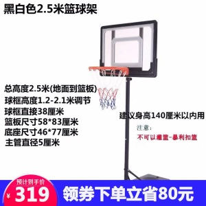 双航 篮球架 青少年儿童室内家用球架 户外可升降可移动成人标准篮球架
