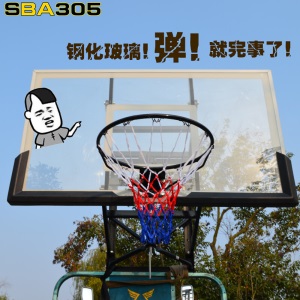 德胜(SBA305)篮球架 成人 户外室内悬挂式投篮架子标准篮筐