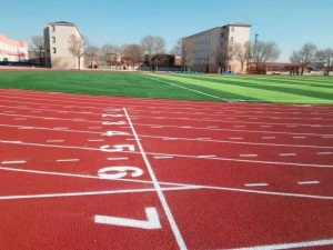 幼儿园拼接塑胶橡胶地垫学校跑道铺垫室内室外健身房户外运动地板