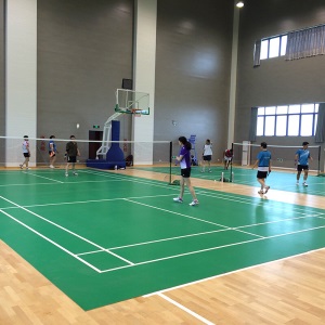 动联无界 专业羽毛球地胶PVC塑胶地垫室内运动地垫防滑比赛型场地安装专业水晶沙4.5mm
