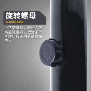 健伦（JEEANLEAN）篮球架 家用可升降儿童成人户外标准可移动 标准版