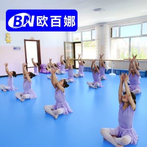 欧百娜舞蹈室地胶室内幼儿园pvc塑胶地板早教中心舞蹈教室专用地胶