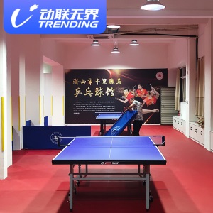 动联无界 健身房地垫室内运动地胶羽毛球乒乓球篮球场地胶垫健身pvc塑胶地胶加厚5.0