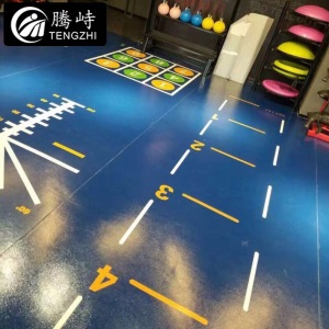 腾峙 TJ-230 健身房地胶360地垫私教pvc塑胶功能性运动地板个性定制地胶(不含运费安装费)