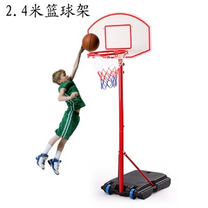 双航 篮球架 青少年儿童室内家用球架 户外可升降可移动成人标准篮球架