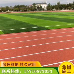 塑胶跑道 幼儿园彩虹跑道 学校操场体育馆运动场地透气型橡胶跑道