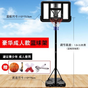 乃力 成人标准篮球架 可升降篮球框移动简易篮球架 家用户外儿童篮球架 标准版