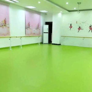 欧百娜舞蹈室地胶室内幼儿园pvc塑胶地板早教中心舞蹈教室专用地胶
