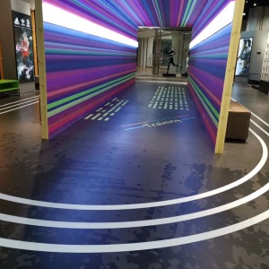 lide利德室内健身房地胶pvc运动地板健身房地胶垫360私教定制图案地板早教中心儿童体适能地胶