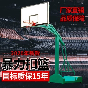 篮球架 成人标准户外移动蓝球架 家用学校训练篮球架子 篮球框 绿色大箱篮架