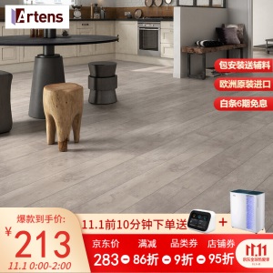 ARTENS德国原装进口强化复合木地板 防潮耐磨欧标E1环保地暖 全包价