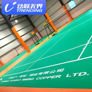 动联无界 专业羽毛球地胶PVC塑胶地垫室内运动地垫防滑比赛型场地安装专业水晶沙4.5mm