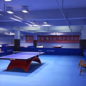 动联无界乒乓球地胶室内环保运动地板PVC塑胶防滑乒乓球地胶垫