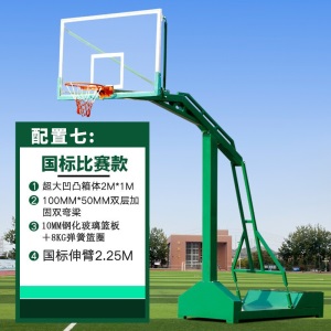 篮球架 成人标准户外移动蓝球架 家用学校训练篮球架子 篮球框 绿色大箱篮架