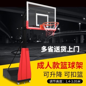 篮球架成人标准户外家用篮球框简易移动可升降青少年家用学校室内篮球架子
