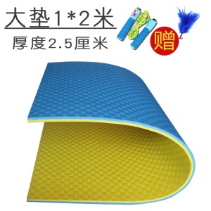 室内跳绳垫子减震隔音家用加厚运动跳操跳舞蹈专用静音消音地毯垫