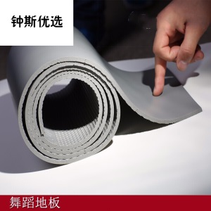 舞蹈地胶芭蕾舞舞蹈地板练功房无味道地胶儿童舞蹈地胶b04 京选好物