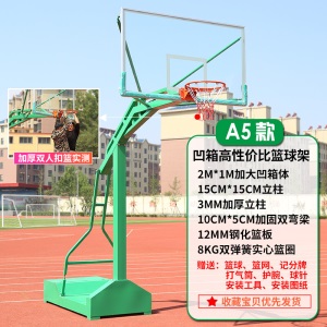 移动篮球架框标准成人移动篮球架室外学校家用比赛蓝