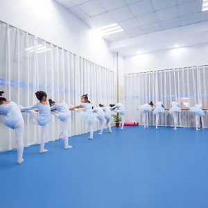 欧百娜舞蹈室地胶室内幼儿园pvc塑胶地板早教中心舞蹈教室专用地胶