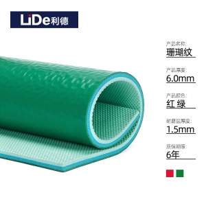 利德（LIDE）室内篮球场地胶儿童定制体适能篮球培训地胶垫PVC运动地板室内羽毛球篮球场地板