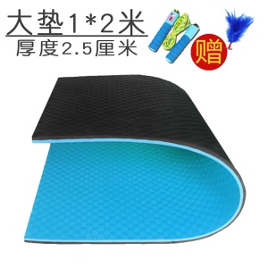 室内跳绳垫子减震隔音家用加厚运动跳操跳舞蹈专用静音消音地毯垫
