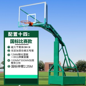 篮球架 成人标准户外移动蓝球架 家用学校训练篮球架子 篮球框 绿色大箱篮架