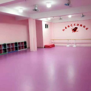欧百娜舞蹈室地胶室内幼儿园pvc塑胶地板早教中心舞蹈教室专用地胶