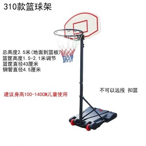 双航 篮球架 青少年儿童室内家用球架 户外可升降可移动成人标准篮球架