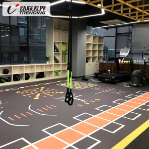 健身房地垫定制360私教地胶健身工作室室内少儿体适能pvc运动地垫2.0mm