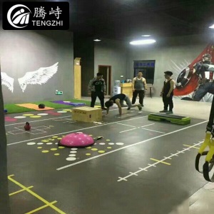 腾峙 TJ-230 健身房地胶360地垫私教pvc塑胶功能性运动地板个性定制地胶(不含运费安装费)