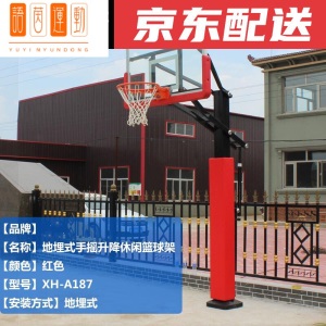 室外篮球架 可移动家用青少年训练标准仿液压独臂篮球架户外 新款标准款配红色