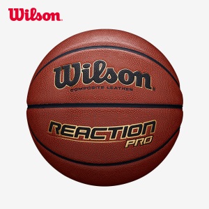 威尔胜 Wilson