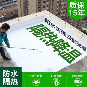 爱友家 隔热漆 屋顶防晒隔热涂料 楼顶隔热防水材料铁皮瓦顶面隔热材料楼面屋面楼面外墙白色防水胶堵漏王 【防水