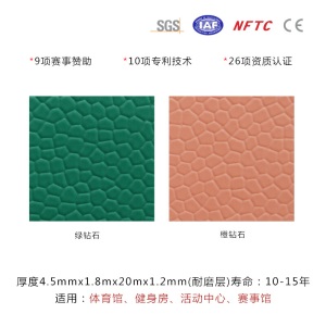 乒乓球羽毛球场地胶垫pvc运动地板舞蹈室健身房篮球场地胶室外运