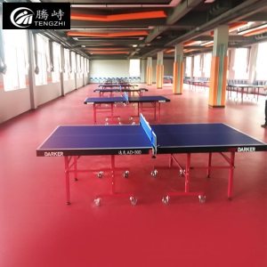 腾峙 TP-20158室内专业乒乓球地胶地垫PVC塑胶防滑运动地胶垫(不含运费安装费)比赛型红色粗布纹5.8mm