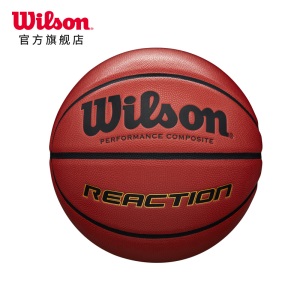 威尔胜 Wilson