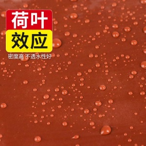 Allgll 防水涂料屋顶防水补漏材料房顶屋面外墙裂缝堵漏王平房彩钢瓦阳台沥青抗裂聚氨酯防水胶 牛皮筋橡胶涂料【 0.5kg