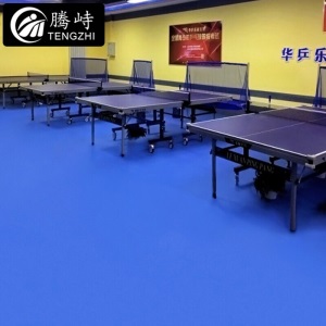 腾峙 PVC羽毛球地胶乒乓球场地地垫室内运动地胶(不含运费安装费) 休闲系列布纹4.5mm
