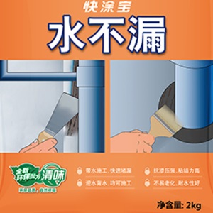 立邦 水不漏堵漏涂料 快干水泥堵漏灵 卫生间材料堵漏宝 屋顶裂缝隙  速凝型胶泥 2kg