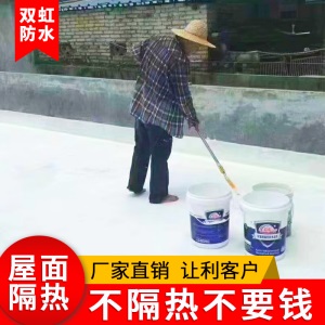双虹屋顶防晒隔热顶楼楼顶防水隔热涂料楼面房顶阳光房平房顶彩钢瓦油漆铁皮瓦顶面反射外墙漆室外厂房晒不热 【白色】1KG