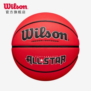 威尔胜 Wilson