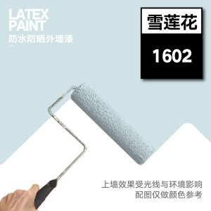 卡度（KADU）外墙乳胶漆二代自刷外墙漆防水防晒卫生间防水漆涂料外墙室外墙面漆白色2KG