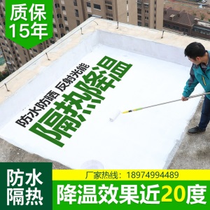 爱友家 隔热漆 屋顶防晒隔热涂料 楼顶隔热防水材料铁皮瓦顶面隔热材料楼面屋面楼面外墙白色防水胶堵漏王 【防水