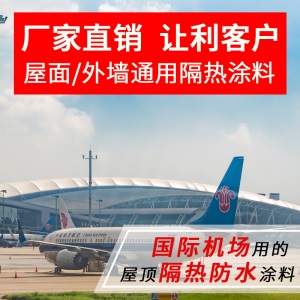 双虹屋顶防晒隔热顶楼楼顶防水隔热涂料楼面房顶阳光房平房顶彩钢瓦油漆铁皮瓦顶面反射外墙漆室外厂房晒不热 【白色】1KG