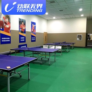 动联无界 乒乓球地胶 室内运动地胶 室内球馆地垫胶垫pvc运动地胶垫 专业升级型